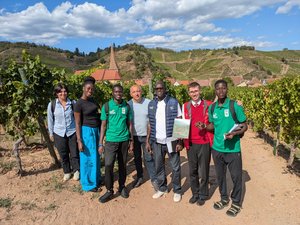 Chantier solidaire France Sénégal