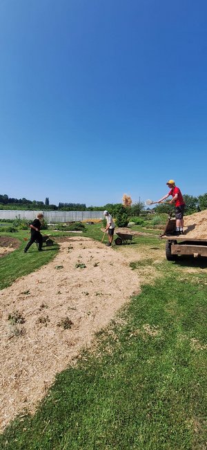 Stage de 1ère bac pro Conduites de Productions Horticoles au Centre Technique Horticole de Gembloux en Belgique