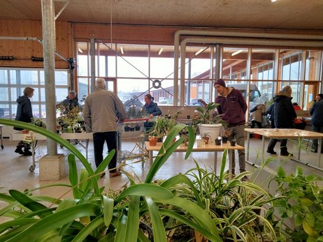 Troc'O Plantes 2024