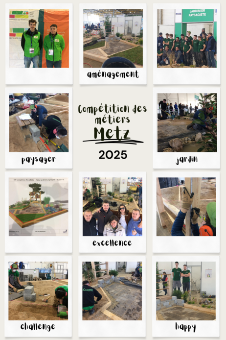 Compétition des métiers CFAA 2025