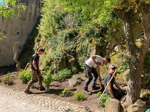 Chantier aménagement paysager au chateau du Hohlandsbourg