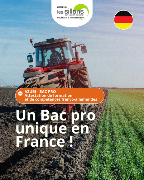 Azubi Bac Pro au lycée de Rouffach