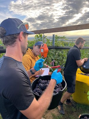 Vendanges 2026 projet VISTA
