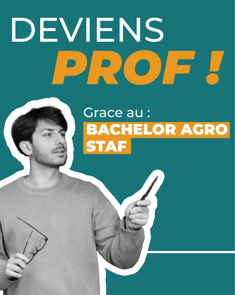 Bachelor Agro STAF