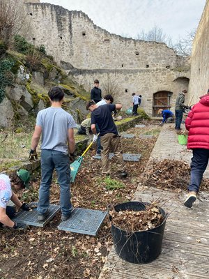 Chantier aménagement paysager au chateau du Hohlandsbourg