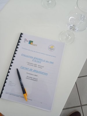 Formation INAO BTS TC Vins, Bières et Spiritueux
