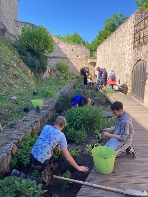 Chantier aménagement paysager au chateau du Hohlandsbourg