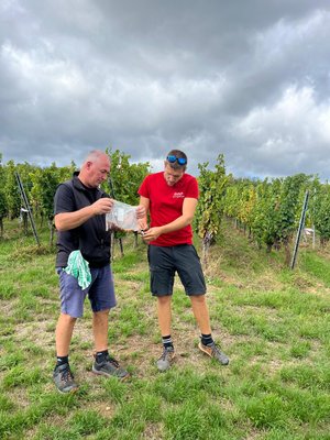 Vendanges 2026 projet VISTA