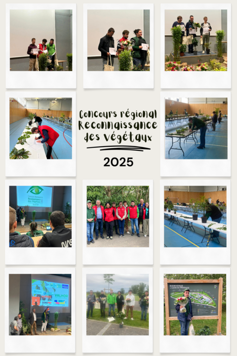 Concours régional de reconnaissance des végétaux 2025