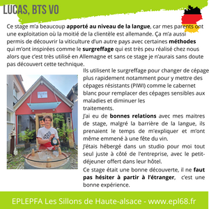 Témoignage stage Allemagne Lucas Wach 2