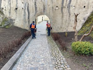 Chantier aménagement paysager au chateau du Hohlandsbourg