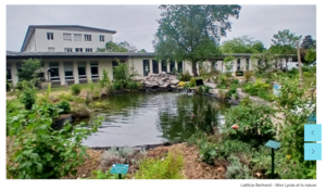 Concours photo Objectif nature Laetitia Berntrand