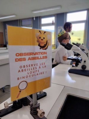 Le Village des Sciences au lycée du Pflixbourg