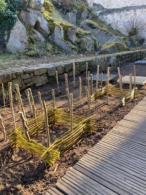 Chantier aménagement paysager au chateau du Hohlandsbourg