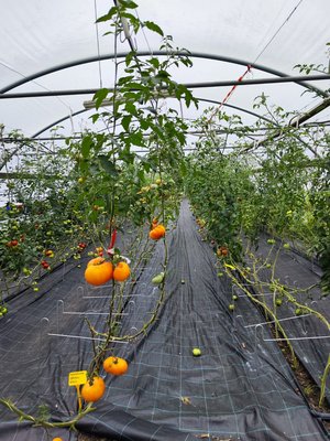 AgroSylviMob CFPPA séminaire Autriche 