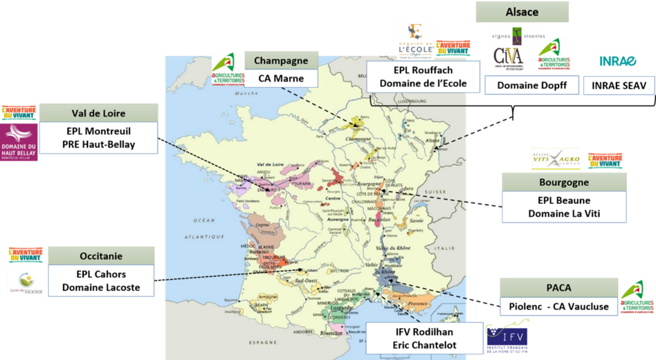 Carte de France du réseau Viglyfree