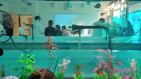 Le Village des Sciences au lycée du Pflixbourg