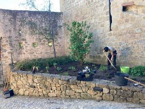 Chantier aménagement paysager au chateau du Hohlandsbourg