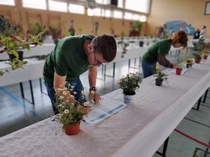 Concours de Reconnaissance des Végétaux 2026 - Grand Est