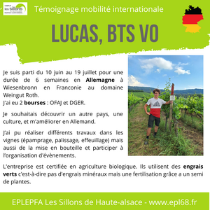 Témoignage stage Allemagne Lucas Wach 1
