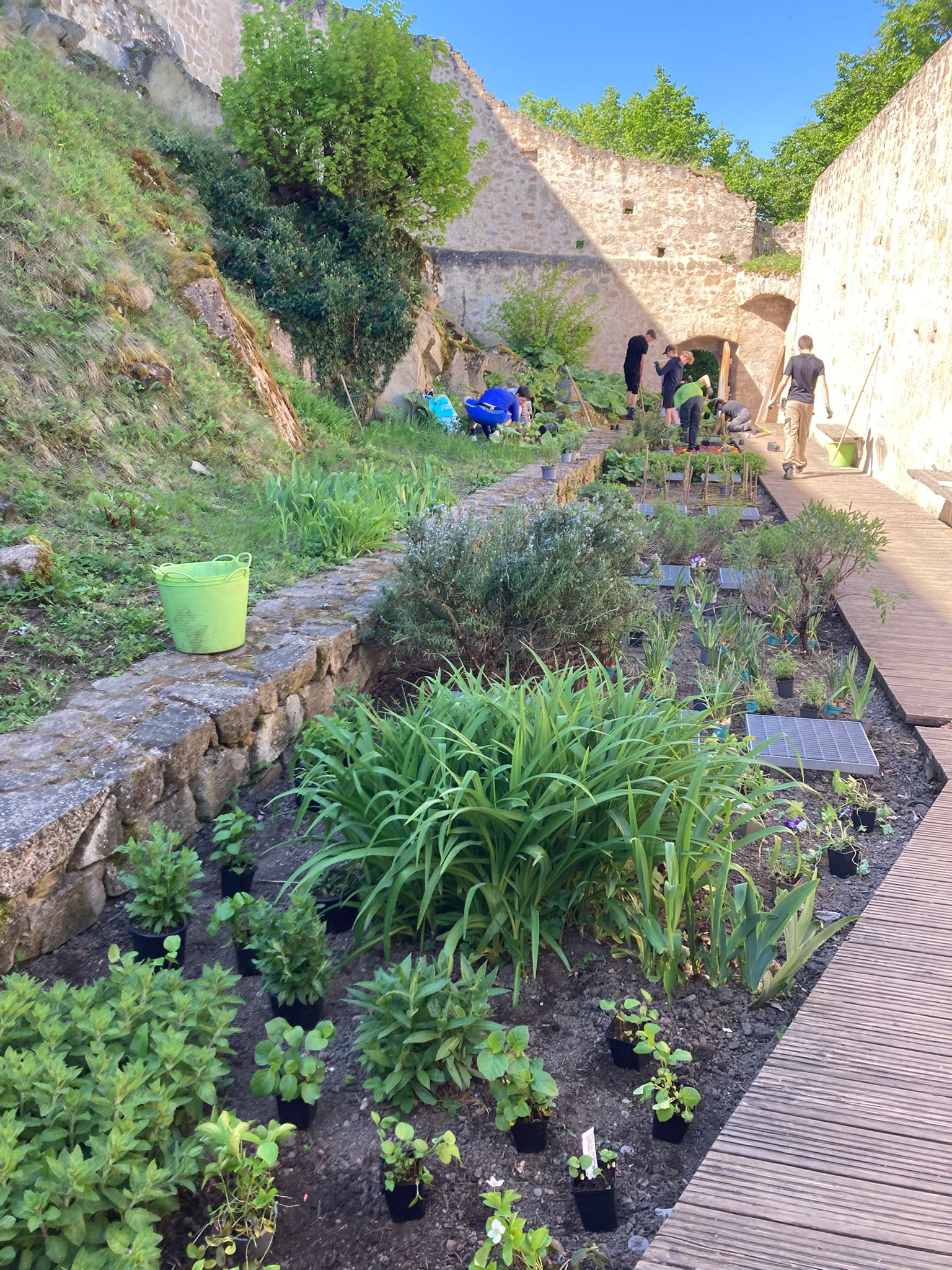 Chantier aménagement paysager au chateau du Hohlandsbourg