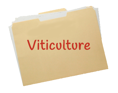 Inscription-dossier-Viticulture